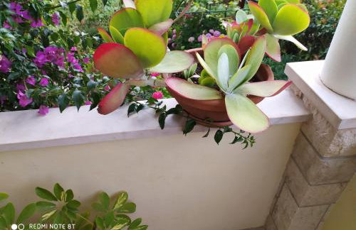 Apartment Bruno - Foto 29