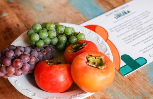 Toca do Uruba - Casa charmosa em Urubici - Foto 22