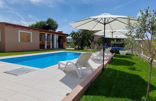 Villa Hirundinidae - Photo 1