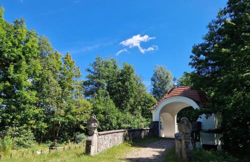 Wiele Żurawi - Foto 31