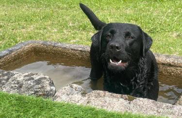 Casa dos Castros - Photo 8