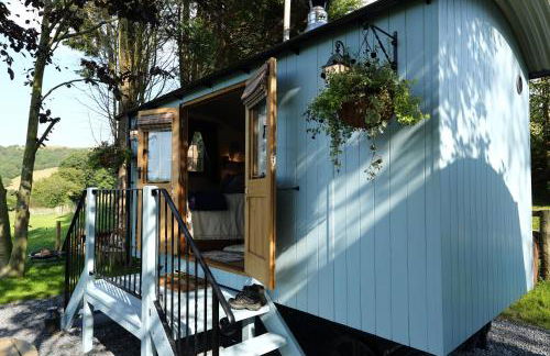 Upper Gelli Luxury Holiday Lodge, Converted Dairy & Cosy Shepherds Huts - Photo 64