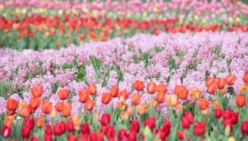 6 Bed with En Suite Baths, Host Up to 20, Rooftops, Parking, Gourmet Kitchens, Cozy Living Spaces, Skyline Views & Fire Table, Near Downtown, Distilleries & Marathon Village, High-Speed Wi-Fi, 24hr Hospitality - Foto 2