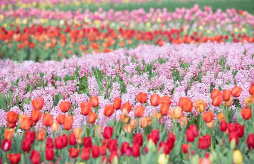 Upscale 12 South Penthouse with 2 Kings, Balcony 1 of 7 Themed Lofts at Cowrite, Find Coffee and Tacos Downstairs, Complimentary Spin Class, Walk to Shopping in 12 South, 10 Minutes to Broadway, Parking, 24 Hr Hospitality - Foto 26