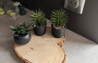 Cozy apartment 15 minutes from Lyon - Foto 31