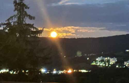 Ferienwohnung - Penthauswohnung Albblick, traumhafter Ausblick, ruhige Lage - Foto 32