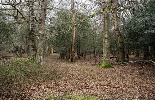 Burley Mews - Photo 43