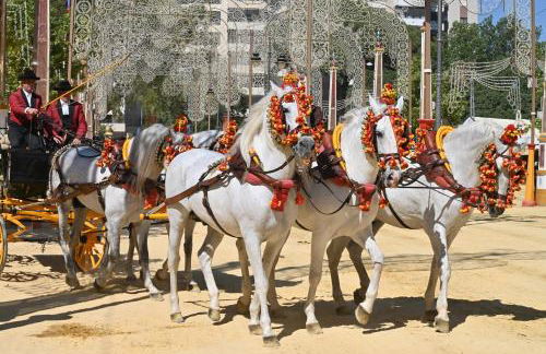 Bienvenidos a San Miguel - Foto 50
