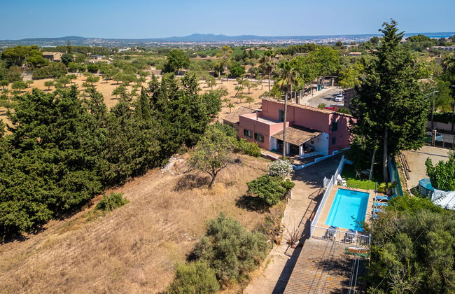 Es Muntant - Foto 36