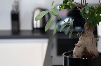 BLACK DIAMOND Apartment - Foto 32