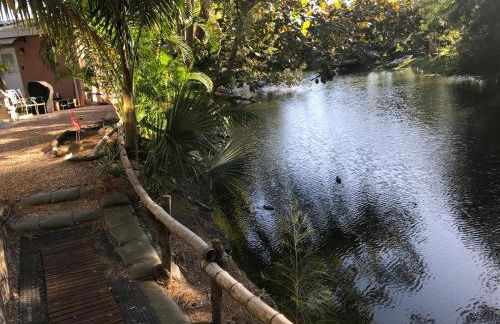 Unwind Island - Photo 30