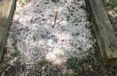 Sparkling Frio - Foto 57