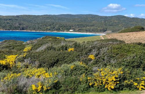 Appartement Marinella route des Sanguinaires Corse - Foto 25