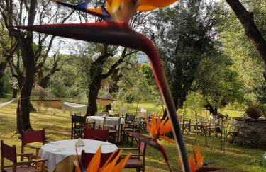 Antico Uliveto - Foto 39