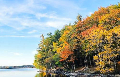 Peaceful Pleasant Point - Foto 23