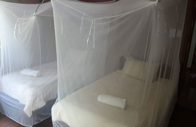 Log Cabin On And Overlooking a 9km Lagoon - Photo 4