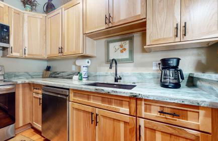 Chateau De Montagne #1 Condo - Foto 14