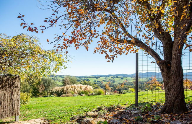 Vivere Retreat - Photo 49