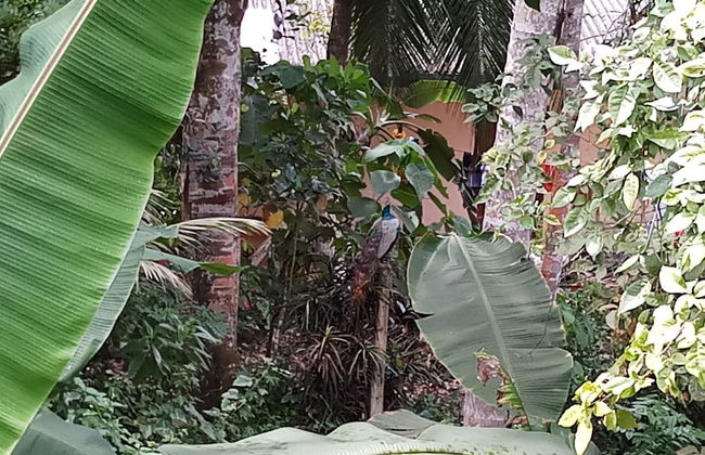 Villa River Paradise - Photo 13