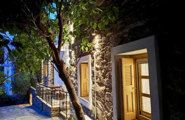 Ioulis Century Home - Photo 64