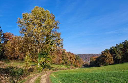 Ferienwohnung im idyllischen Matting an der Donau - Foto 24