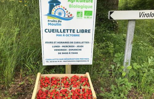 L’île aux fruits en Berry - Foto 8