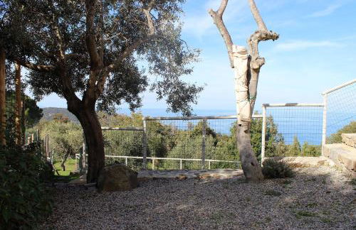 Country House Tagliaferro - Foto 17