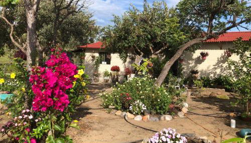 Maria Bonita Eco Pousada - Foto 3, Garden view