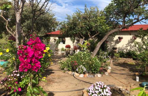 Maria Bonita Eco Pousada - Foto 3