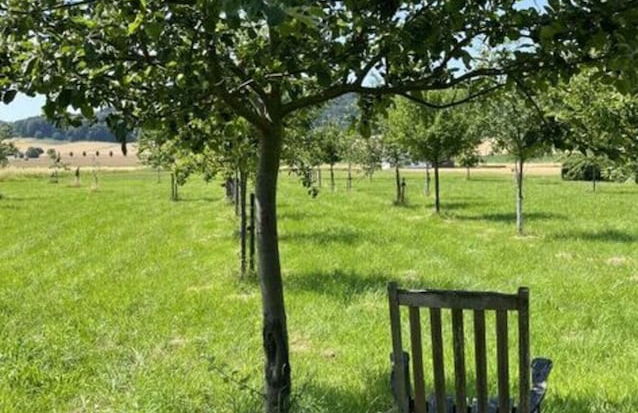 Time out in the Wiehengebirge - Foto 14