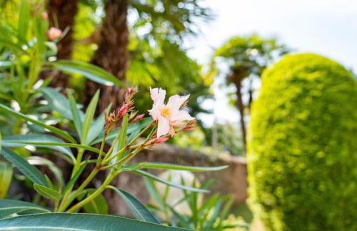 Casa Comparin Appartamento Lesa - Foto 2