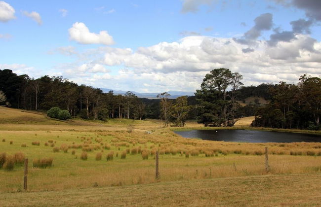 Wines for Joanie Cottage - Foto 21