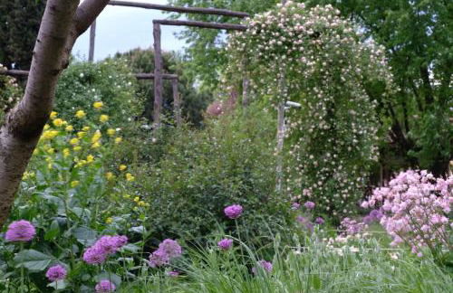 Tenuta Agriturismo La Borina - Foto 76