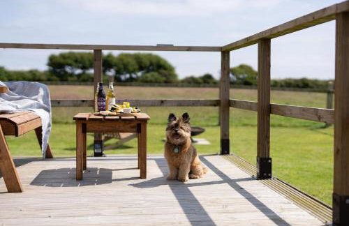 The Hideaway at Tremorna Farm - Photo 15