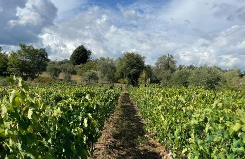 All'Ombra Del Tiglio - Foto 74