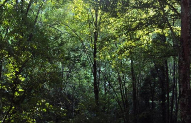 Large Home With Sauna, Ovifat - Photo 31