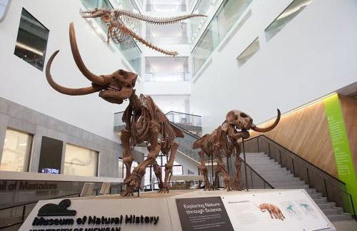 Downtown Ann Arbor 2 King Bed Balcony Apartment - Foto 23