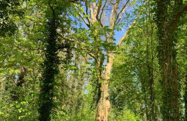 Przy Złotych Piaskach 1 - Foto 76