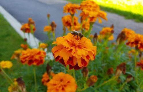 gemütlich * stylisch * 10Min. bis Altstadt * TOP Ausstattung - Foto 37