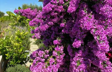 Villa Rocky Beach - Photo 6