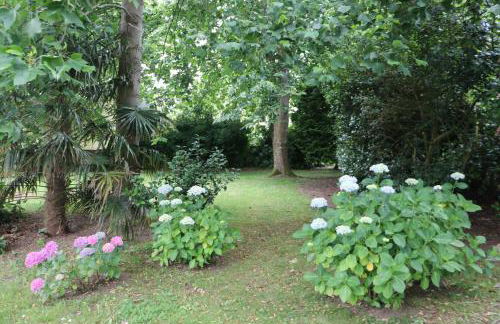 Maison Parc - Foto 29