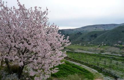 Sumptuous villa in Taberno with private pool - Foto 76