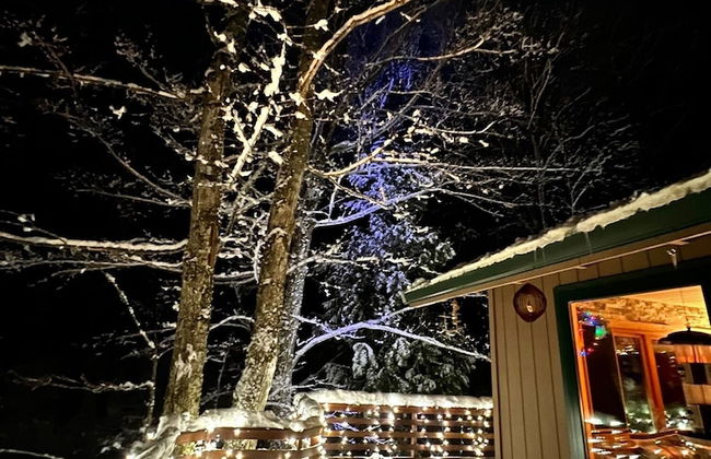 Hauser's Bayfield Cabin - Foto 14