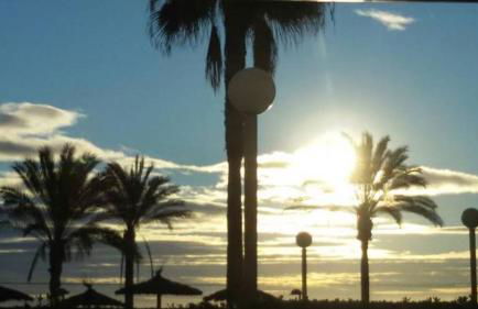 Exclusif Appartement en 1er Ligne, Vue Imprenable, Piscine, Parking Privé à Playa Mucha Vista, Alicante - Photo 47