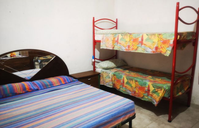 Country House in the Su Gologone Area 30 km From Cala Gonone 5 km From Oliena - Photo 51