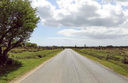 Tree Top House - Foto 53