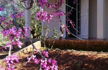 Agrilis Cottage near the beach - Foto 43