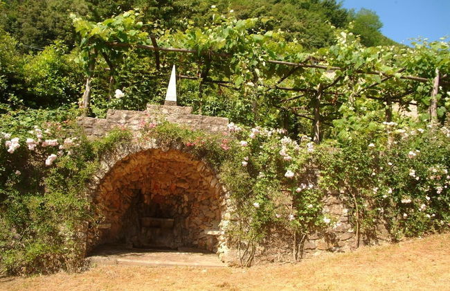 Villa Barsotti - Foto 54