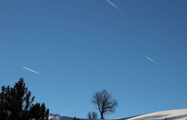 Hochgrat View in Steibis, Haus Akelei - Photo 15