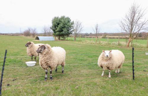 Bellamour End Cottage - Foto 35